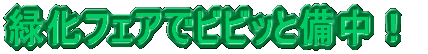 �Ή��t�F�A�Ńr�r�b�Ɣ����I 