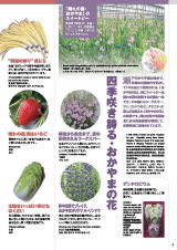 野菜・花