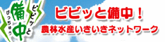 �r�r�b�Ɣ����I�_�ѐ��Y���������l�b�g���[�N
