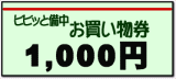 お買い物券1000円