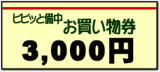 お買い物券3000円