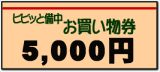 お買い物券5000円
