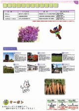 第2コースのイベントカレンダー・観光情報