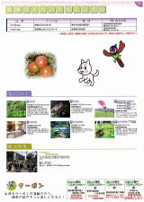 第7コースのイベントカレンダー・観光情報