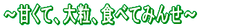 �`�n��́u�{�v�̔_�Y���E���H�i��W���` 